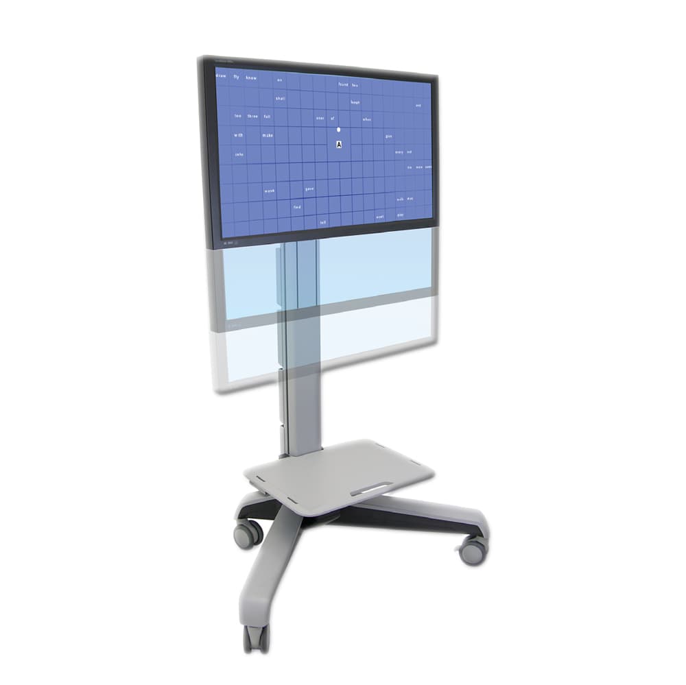 Bernell Sanet Vision Integrator, vision training software: photo from Bernell