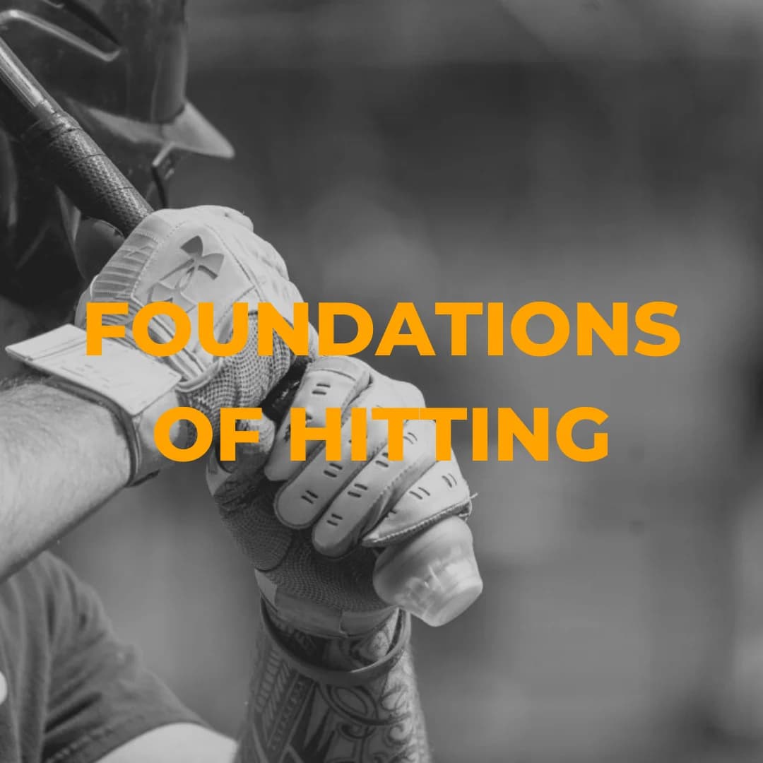 Driveline Baseball Foundations of Hitting, hitting programs: photo from Driveline Baseball