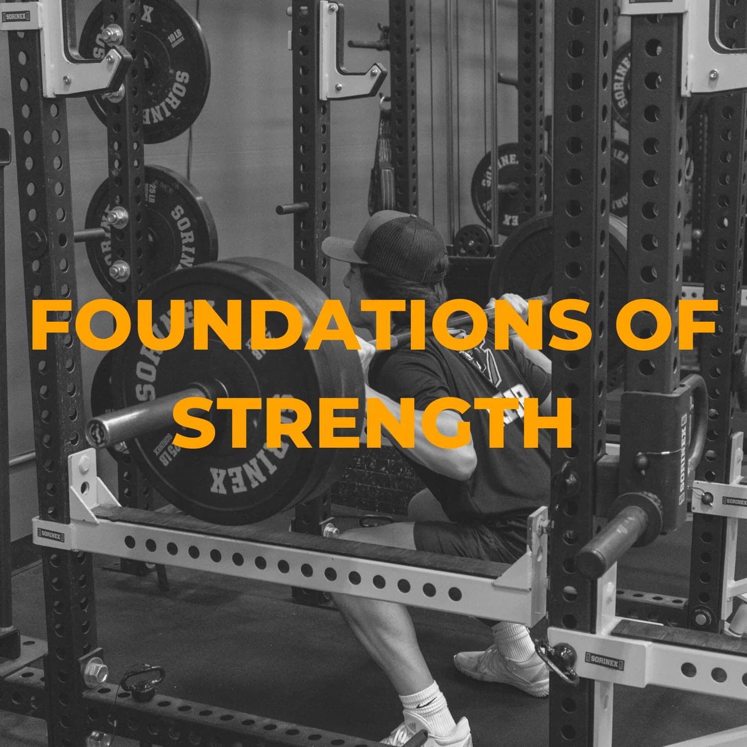Driveline Baseball Foundations of Strength, strength programs: photo from Driveline Baseball