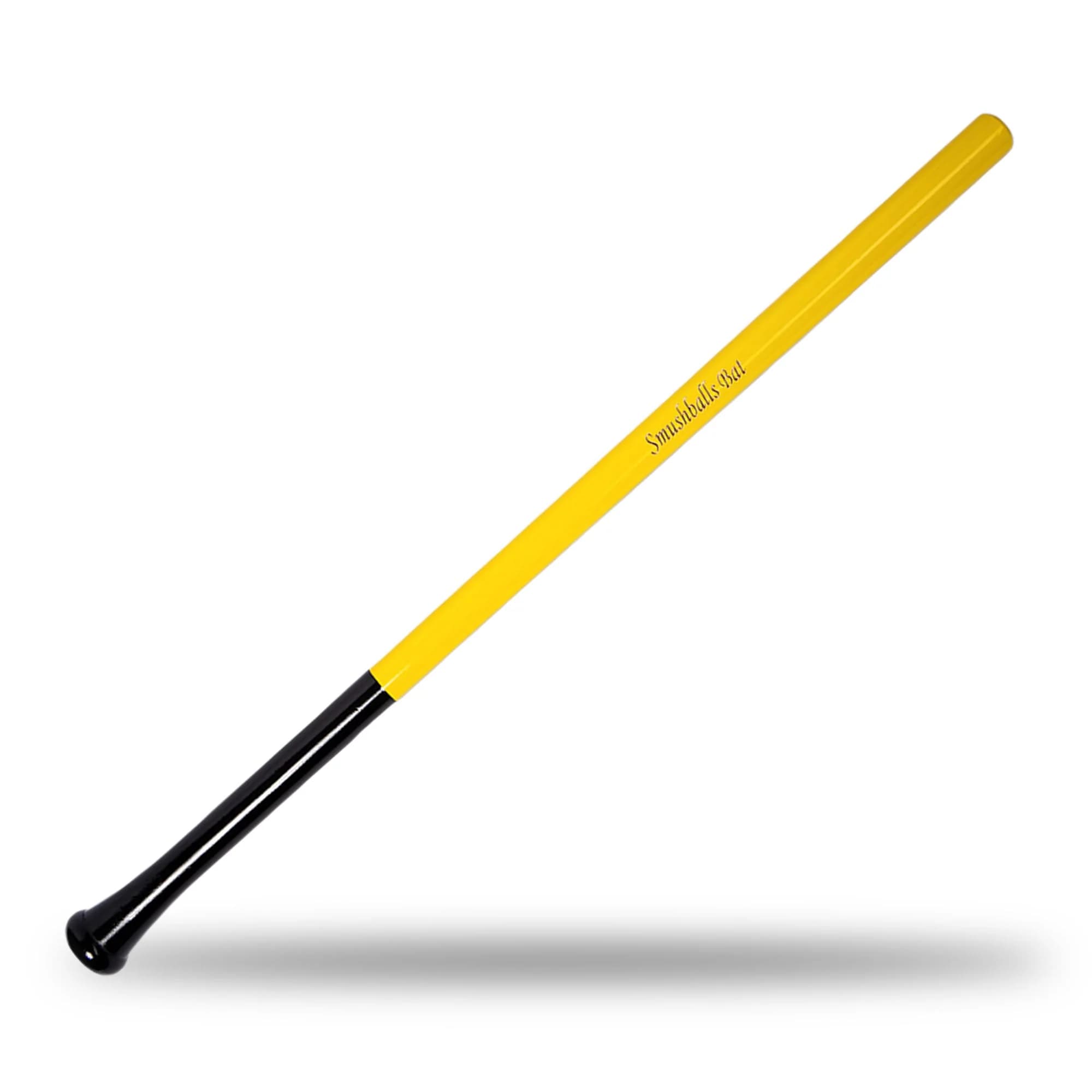 ProRebounders Smushballs Bat, other training bats: photo from ProRebounders