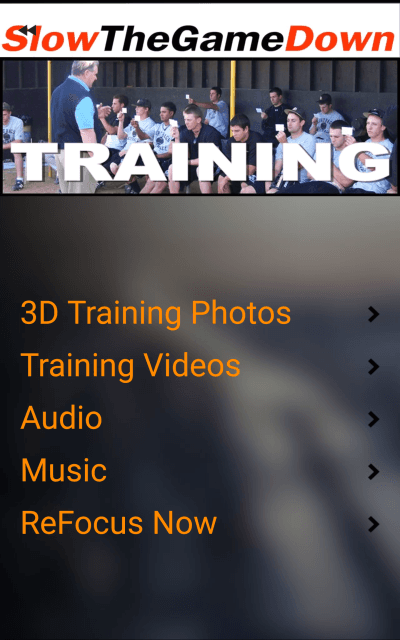 Slow The Game Down STGD 3D & Focus App, vision training software: photo from Slow The Game Down