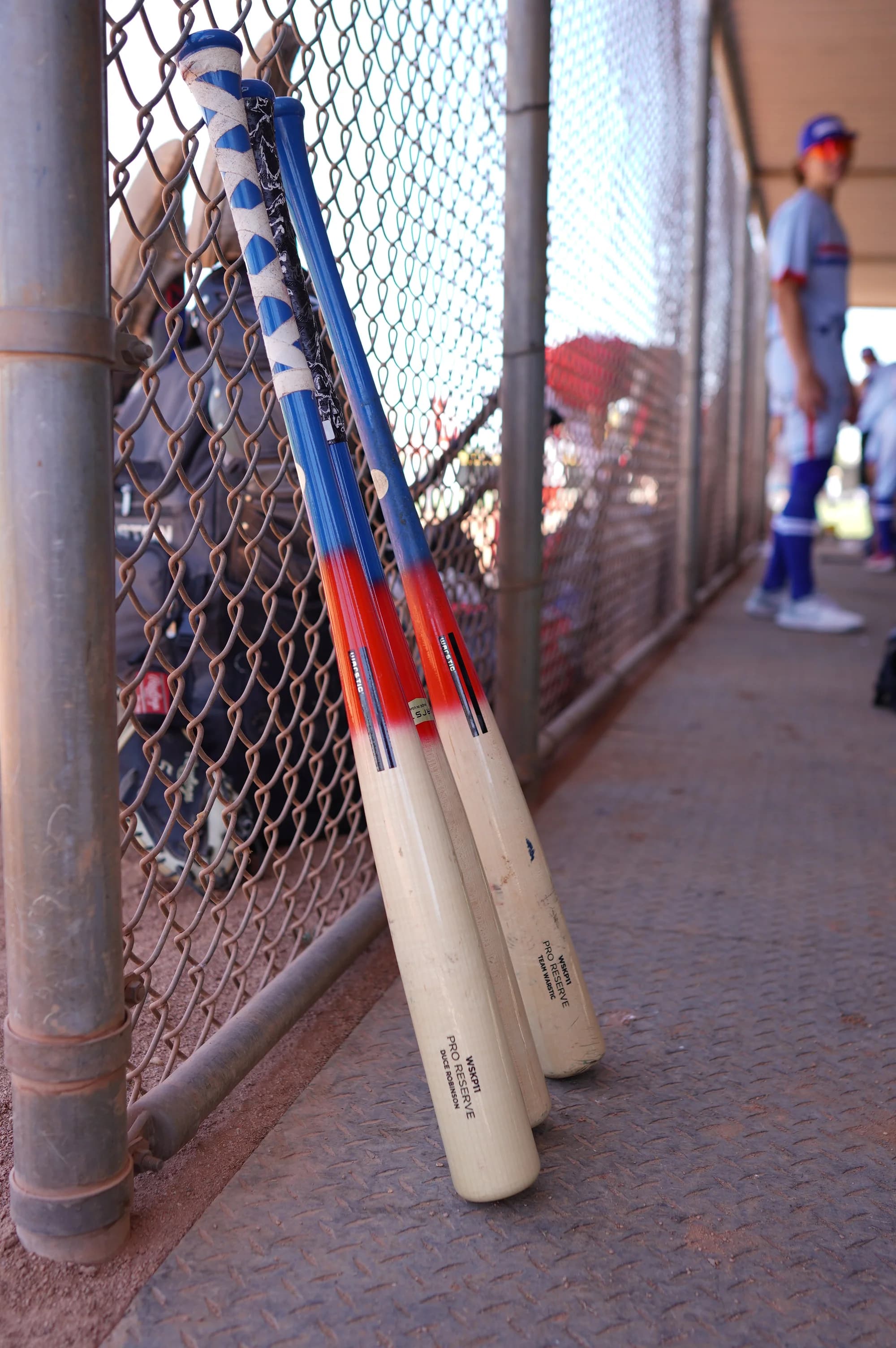 Warstic Land of the Free Ink Dot WS271 Wood Bat, game wood bats, adult: photo from Warstic